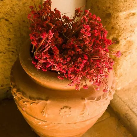 Palazzo Contino Apartment Bagnoregio